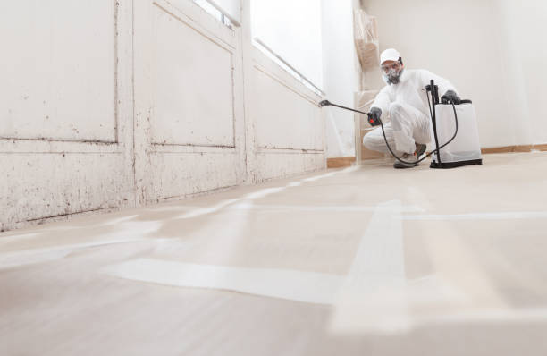 24/7 Emergency Crawl Space Mold Removal experts in Verona, VA