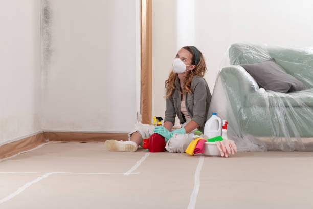 Reliable Crawl Space Mold Removal contractor in Verona, VA by WQB Mold Removal