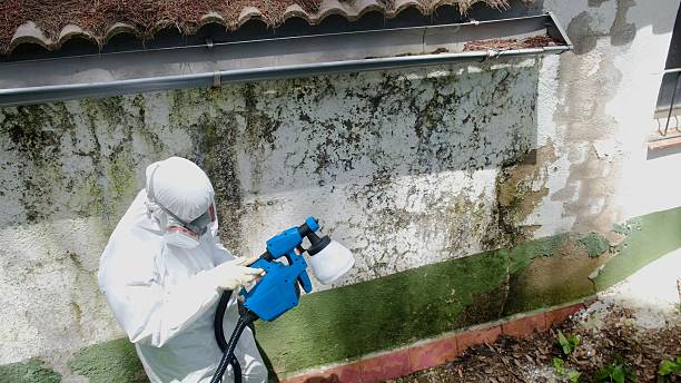 Top rated local Crawl Space Mold Removal specialists in Verona, VA